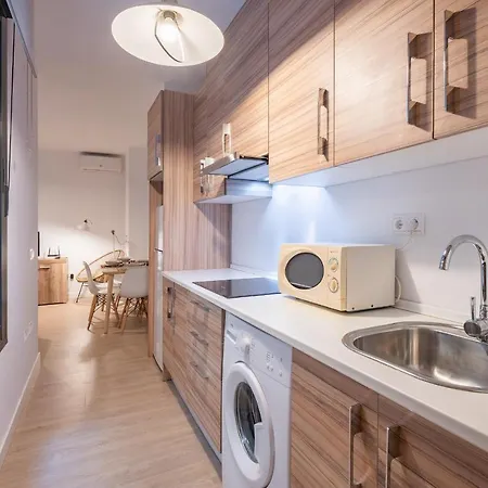 Dona Elvira Parras Apartment Malaga