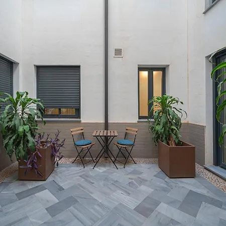 Dona Elvira Parras Malaga